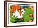 Brown Frame