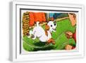White Frame