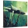 Stretched Canvas