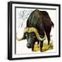 Black Frame