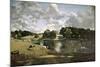 English School. Wivenhoe Park, Essex-John Constable-Mounted Giclee Print