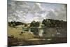 English School. Wivenhoe Park, Essex-John Constable-Mounted Giclee Print