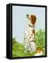 English Setter-Diana Thorne-Framed Stretched Canvas