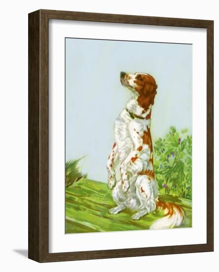 English Setter-Diana Thorne-Framed Art Print