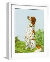 English Setter-Diana Thorne-Framed Art Print