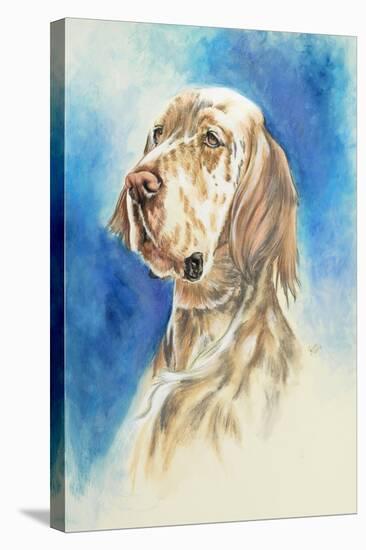 English Setter-Barbara Keith-Stretched Canvas