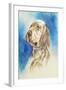 English Setter-Barbara Keith-Framed Giclee Print