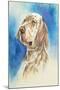 English Setter-Barbara Keith-Mounted Giclee Print