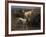 English Setters in a Marshland-Thomas Blinks-Framed Premium Giclee Print