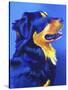 English Shepherd - Donut-Dawgart-Stretched Canvas