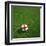 English Soccerball Lying on Grass-zentilia-Framed Art Print