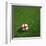 English Soccerball Lying on Grass-zentilia-Framed Art Print