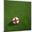 English Soccerball Lying on Grass-zentilia-Mounted Art Print