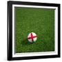 English Soccerball Lying on Grass-zentilia-Framed Art Print