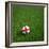 English Soccerball Lying on Grass-zentilia-Framed Art Print