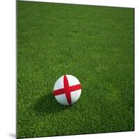 English Soccerball Lying on Grass-zentilia-Mounted Art Print