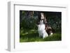 English Spring Spaniel (Show Type) in Spring, Marengo, Illinois, USA-Lynn M^ Stone-Framed Photographic Print