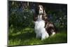 English Spring Spaniel (Show Type) in Spring, Marengo, Illinois, USA-Lynn M^ Stone-Mounted Photographic Print