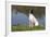 English Springer Spaniel at Edge of Pond and Reflections of Spring Foliage, Harvard-Lynn M^ Stone-Framed Photographic Print