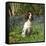 English Springer Spaniel Dog in Bluebells-null-Framed Stretched Canvas