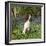 English Springer Spaniel Dog in Bluebells-null-Framed Photographic Print