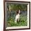 English Springer Spaniel Dog in Bluebells-null-Framed Photographic Print