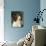 English Springer Spaniel Dog, USA-Lynn M. Stone-Photographic Print displayed on a wall