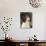 English Springer Spaniel Dog, USA-Lynn M. Stone-Photographic Print displayed on a wall