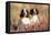 English Springer Spaniel Dog-null-Framed Stretched Canvas