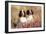 English Springer Spaniel Dog-null-Framed Photographic Print