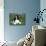 English Springer Spaniel, Illinois, USA-Lynn M. Stone-Mounted Photographic Print displayed on a wall