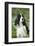 English Springer Spaniel in Bluebells (Aka Virginia Cowslip), Rockton, Illinois, USA-Lynn M^ Stone-Framed Photographic Print