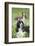 English Springer Spaniel in Bluebells (Aka Virginia Cowslip), Rockton, Illinois, USA-Lynn M^ Stone-Framed Photographic Print