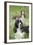 English Springer Spaniel in Bluebells (Aka Virginia Cowslip), Rockton, Illinois, USA-Lynn M^ Stone-Framed Photographic Print