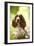 English Springer Spaniel in Woodland-null-Framed Photographic Print