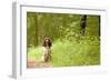 English Springer Spaniel on Woodland Path-null-Framed Photographic Print