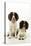 English Springer Spaniel Pair One Sitting-null-Stretched Canvas