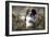 English Springer Spaniel Running Through Heather-null-Framed Photographic Print