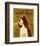 English Springer Spaniel-John Golden-Framed Art Print