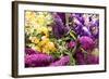 English Summer I-Maureen Love-Framed Photographic Print