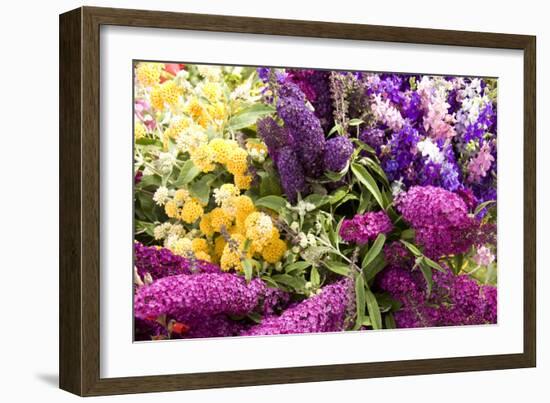 English Summer I-Maureen Love-Framed Photographic Print