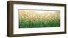 English Summer-Sandy Dooley-Framed Art Print