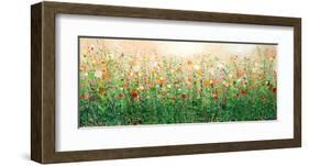 English Summer-Sandy Dooley-Framed Art Print