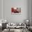 English Tea-Valda Bailey-Photographic Print displayed on a wall