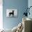 English Toy Terrier - Fall-Thomas Fall-Photographic Print displayed on a wall