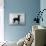 English Toy Terrier - Fall-Thomas Fall-Mounted Photographic Print displayed on a wall