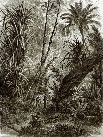 Premium Giclee Print, , large