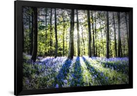 English Woodland in Spring-Mark Gemmell-Framed Photographic Print