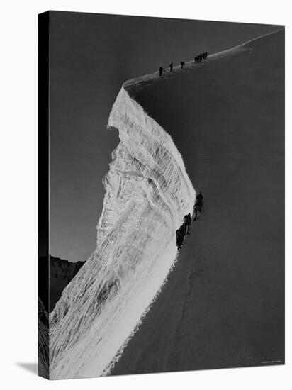 Englishmen Climbing Along Edge of Precipice on 13,000 Ft. Piz Bernina, in the Alps Switzerland-null-Stretched Canvas