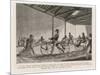 Englishmen Learn to Ride Johnson's Pedestrian Hobby Horse at the Riding School in the Strand London-null-Mounted Art Print